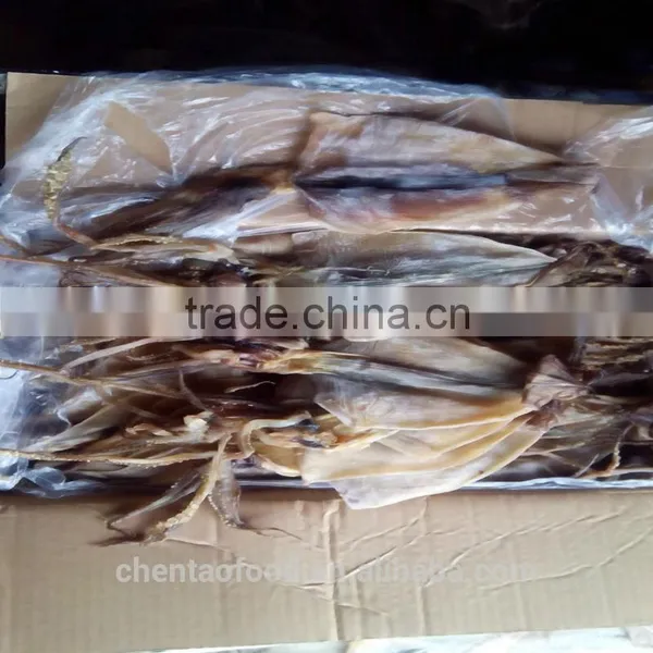 Dried Squids photo-5