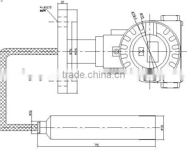 Immersion Type Level Sensor With LED Local Display photo-4