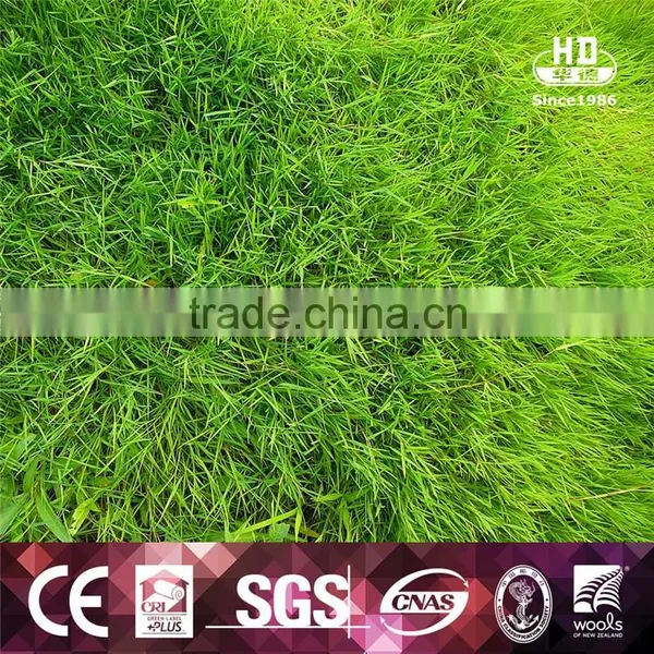China Manufacturer PE Customized Artificial Grass Garden photo-4