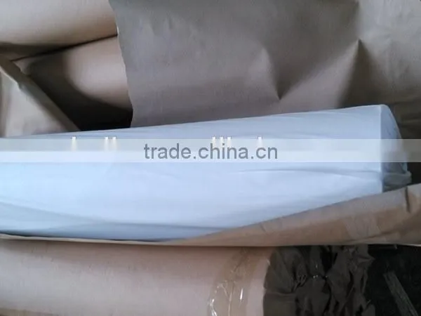 White Pvc Film in Roll
