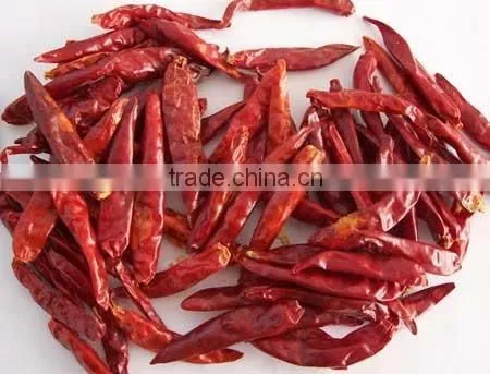 Indian Chilli for Sale photo-3