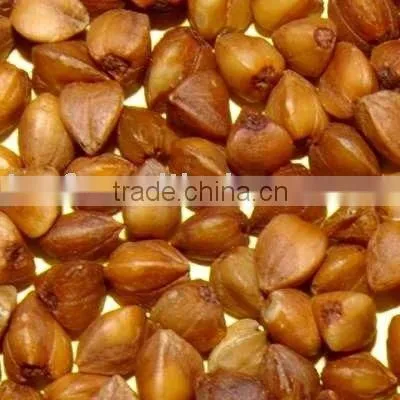 ROASTED BUCKWHEAT KERNELS(712)