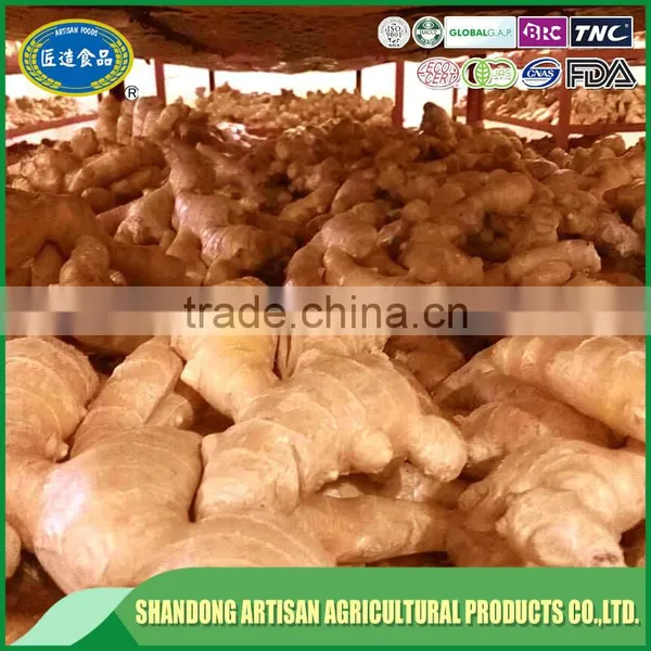 Air Dried Ginger photo-2