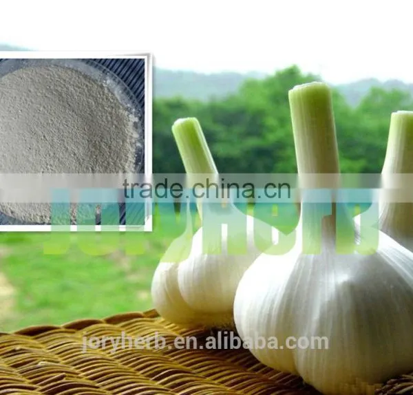 Organic Garlic Extract Powder