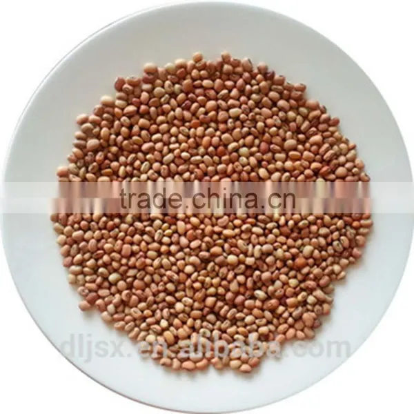 JSX Export Black Eyed Beans Different Size New Crop White Cowpeas photo-4