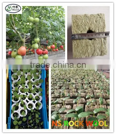 Hydroponics Rockwool Cubes | Rockwool Growing Medium