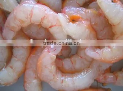 Red Shrimp Pud With Frozen photo-4