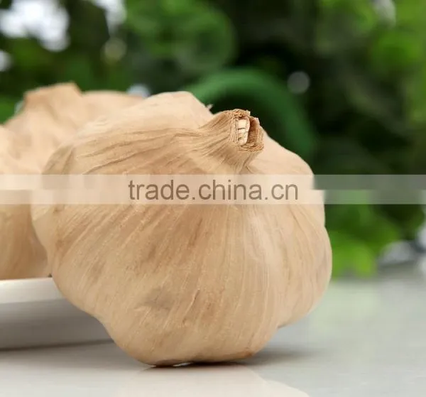 Many Heads Black Garlic P.E.--HC Company photo-3