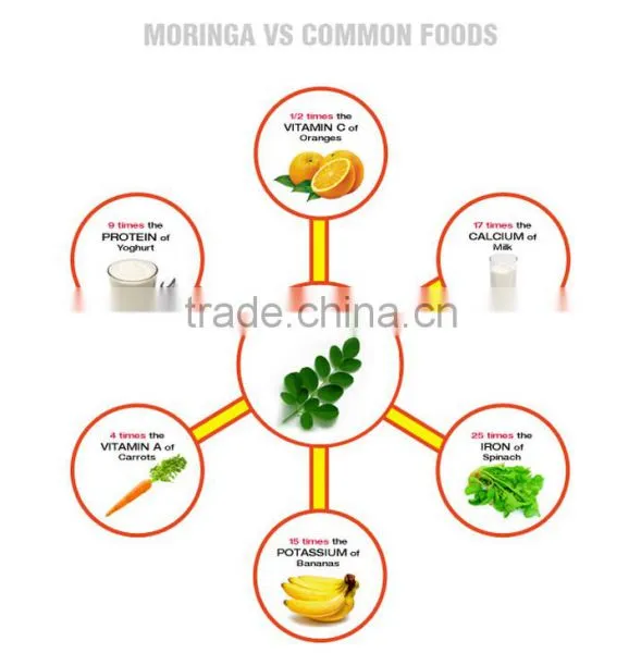 Moringa Leaf Powder photo-2