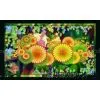 Three-dimensional Greeting Card, Made of PET Grating Film,MP034-036