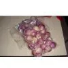Red Onion