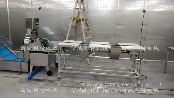 Clean Vegetable Water Washing Machine Clean Vegetable Eddy Current Cleaning Line Clean Vegetable Processing Equipment photo-5
