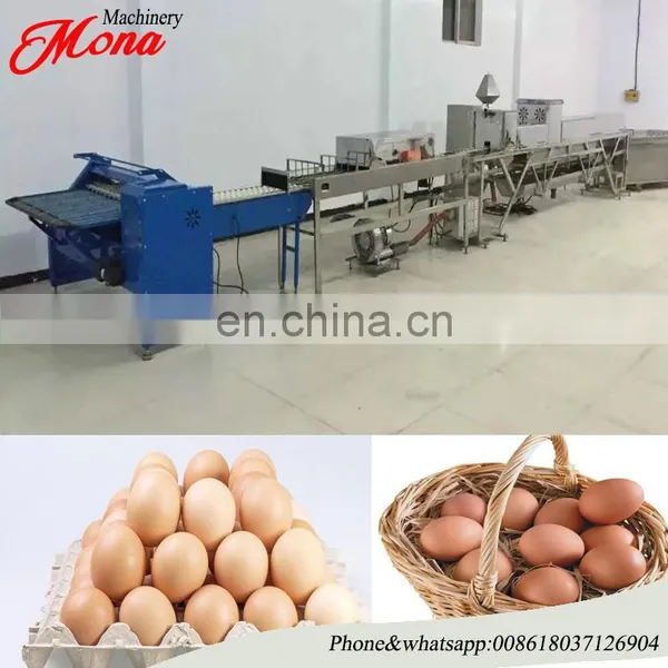 Hot Sale Egg Grader/egg Sorting Machine/egg Grading Machine photo-6