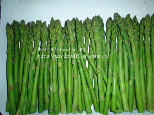IQF Green Asparagus photo-5
