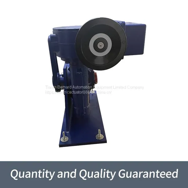 Bernard Angle Stroke B+RS250/K40H Integrated Fine Small Electric Actuator photo-2