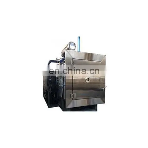 Shanghai Factory Industrial Plant Vacuum Freeze Dryer Equipment Drying Machine in Dried Fruit & Vegetable Processing photo-3