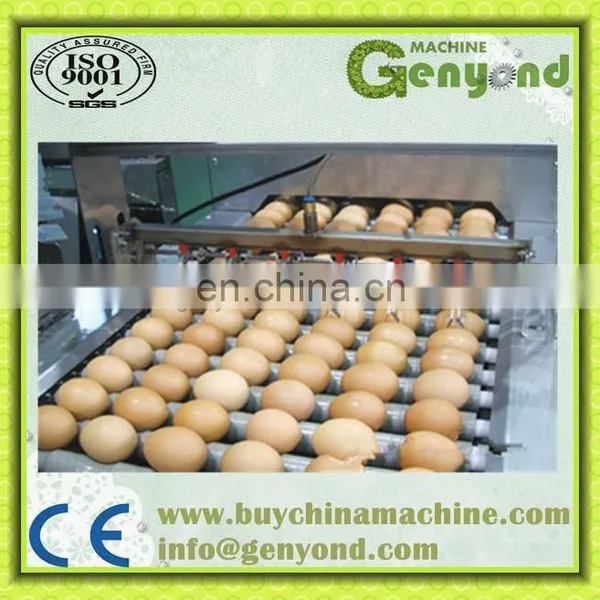 Automatic Hen Egg Cleaning and Checking Line / Egg Processing Machine photo-4