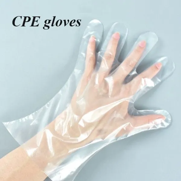 Disposable PE Gloves photo-3