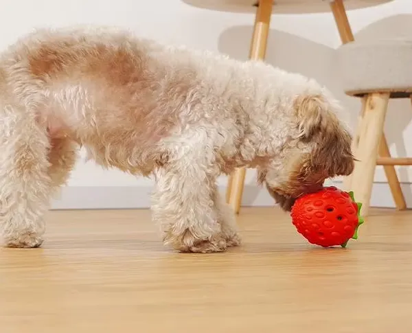 Strawberry Dog Chew Toys Rubber for Pet Teething Durable Dog Toys for Boring Puppy Teething Toys Pet Accessories photo-4