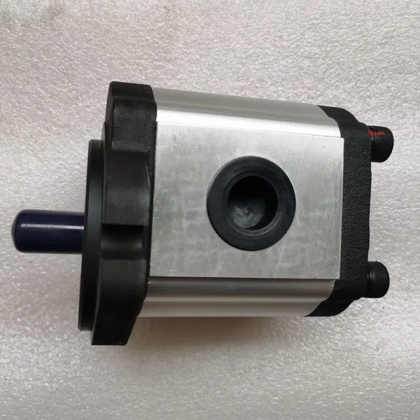 OCEANUS GEAR PUMP photo-3
