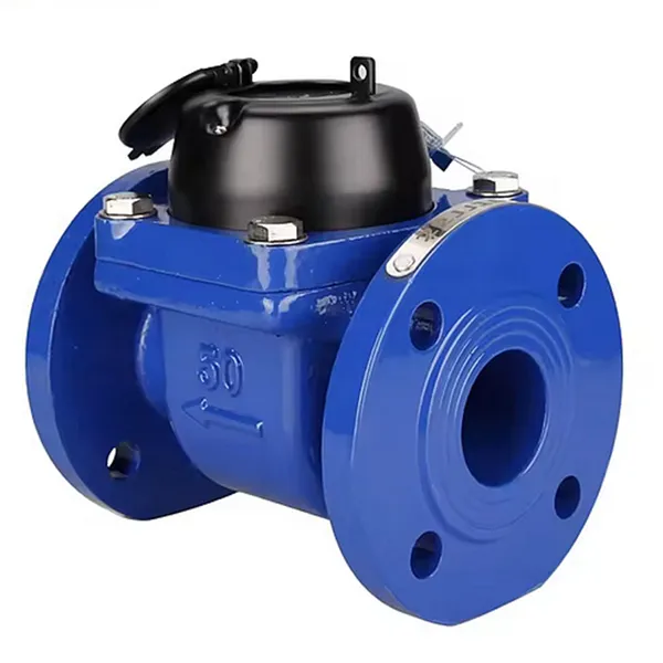 High-Precision Detachable Mechanical Woltman Water Meter for Large Size photo-3