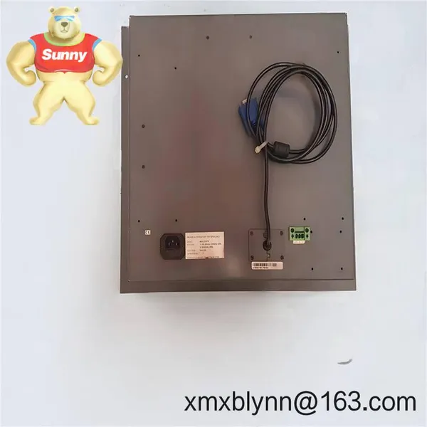 Praxis 98.6.020.672 Analog Output Module: Your Reliable Signal Bridge for Industrial Systems photo-2