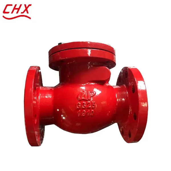 BS Swing Ball Check Valve DN250 PN16 WCB Cast Steel GG5/GGG50 Ductile Iron Flange Made in China Factory photo-5