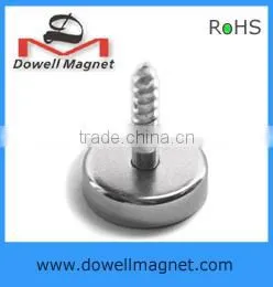 Magnetic Head Screw