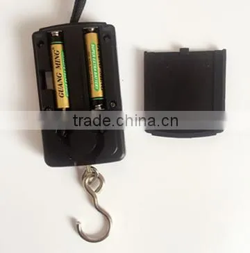 Digital Small Scale 10g LCD Display Manufacturer photo-6