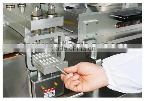 Automatic Blister Packaging Machine, Blister Packing Machine, DPP Blister Packing Machine photo-2