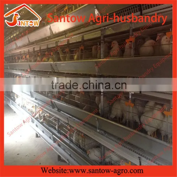 Stable Steel Structure Chicken Egg Layer Cage Broiler Breeder Farm photo-5