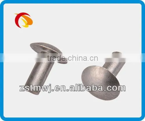 Blind Rivet Screw