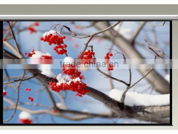 Remote Video Projector Screen Synchronous Electric Screen photo-3