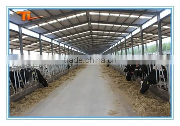 Prefabricated Building Steel Chicken Farm photo-3