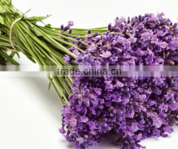 500 ml Liquid Hand Soap Msds photo-5