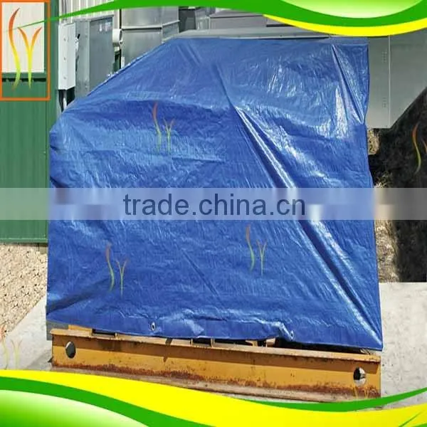 Tarpaulin Canopy