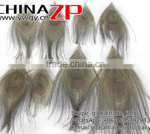 No.1 Supplier ZPDECOR Wholesale Selected Prime Quality Dyed Grey Trimmed Short Peacock Feathers for Decoration photo-2