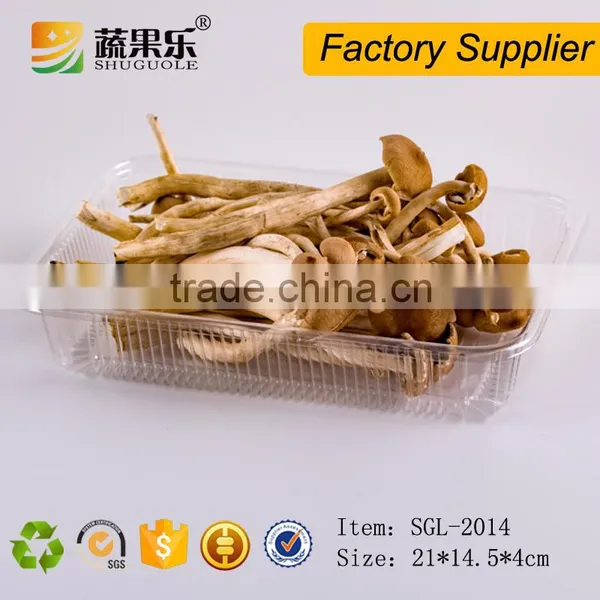 OEM Welcome PET Pepper Packing Trays on Supermarket photo-3