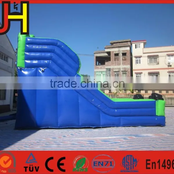 Blue Cat Outdoor Water Slide Inflatable Garden Water Slides For Parties photo-4