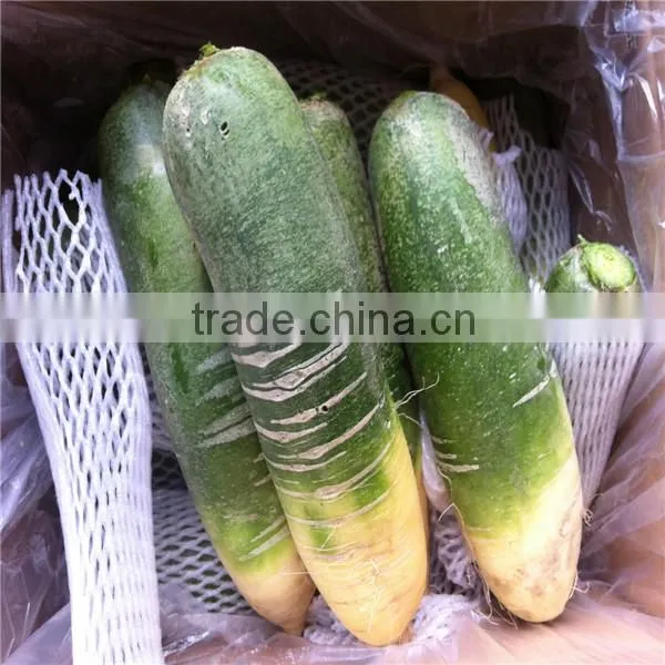 Green Raddish photo-6