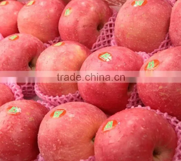 Fresh Fuji Apple photo-5
