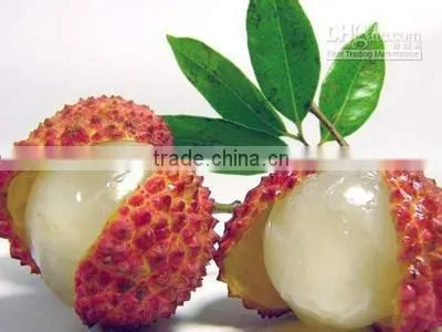Wholesale Canned Lychee 425g 567g 800g 850g