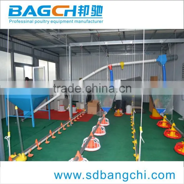 Automatic Poultry Equipment for Broiler Chicken photo-2