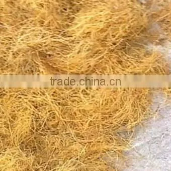 Coconut Fiber Open Processing Machine photo-4