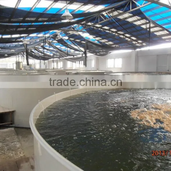 Aquaculture Polyethylene Fish Tanks for Shrimp photo-4
