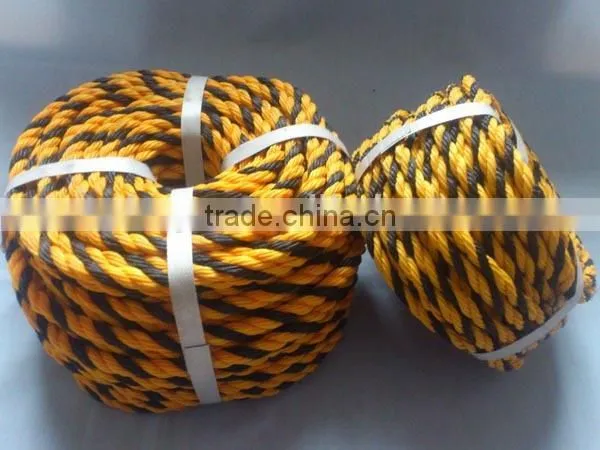 Twisted Rope Type Fishing Rope PP Danline Rope photo-6