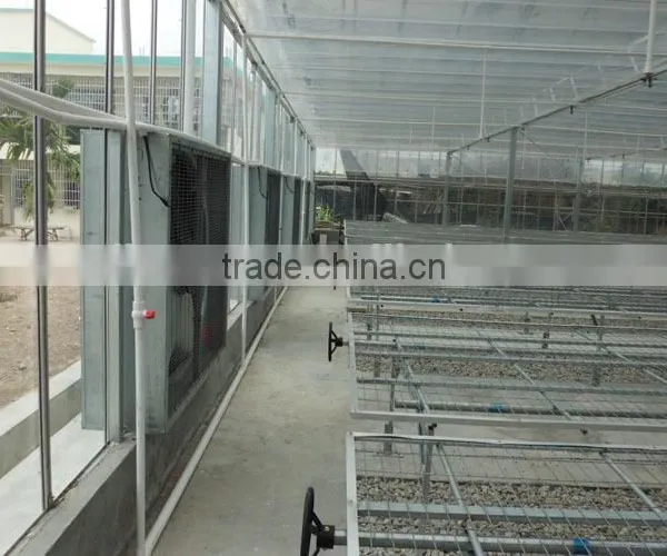 Polycarbonate Sheet Cover Agricultural Greenhouse PC Sheet Covered Greenhouse photo-5