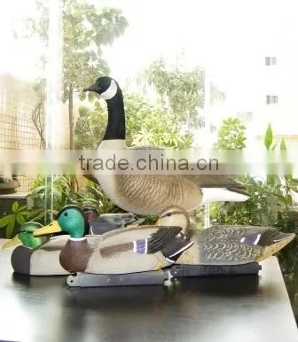 Greylag Goose Decoys, Greylag, Hunting Goosey- photo-4