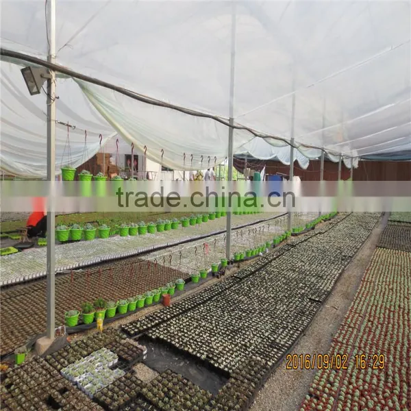 Factory Prices Non-wetting Mushroom Growing Greenhouse photo-3