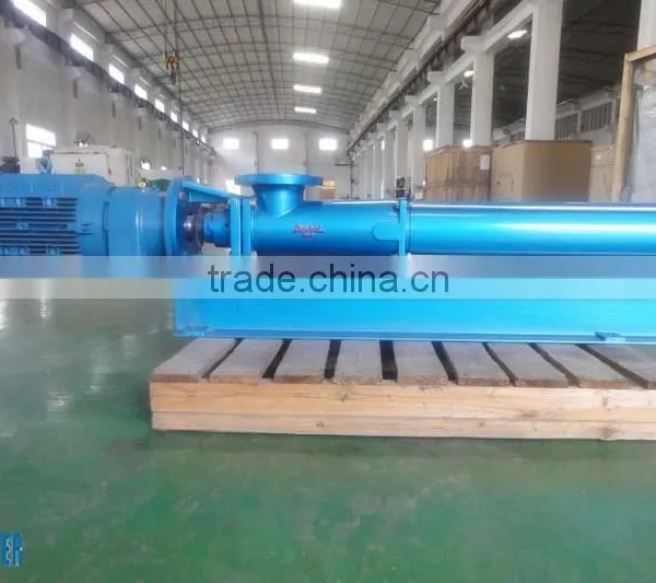 Screw Pump Specialized Design for Various Filter Press, Filter Press Used Screw Pump for Sale photo-2
